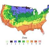 Map of USA temperature zones for planting