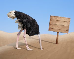 ostrich with head in sand - avoiding Coronavirus issues