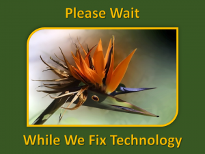 Zoom Infographic - Please Wait Technology