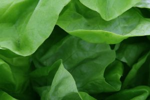 green leafy vegetables a great source of magnesium to help prevent cramps